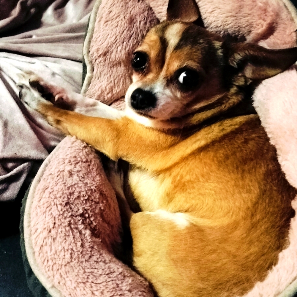 Meet your Posher, Embrace